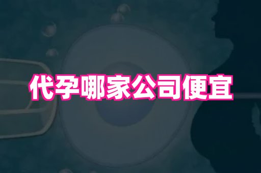 长春助孕网 3